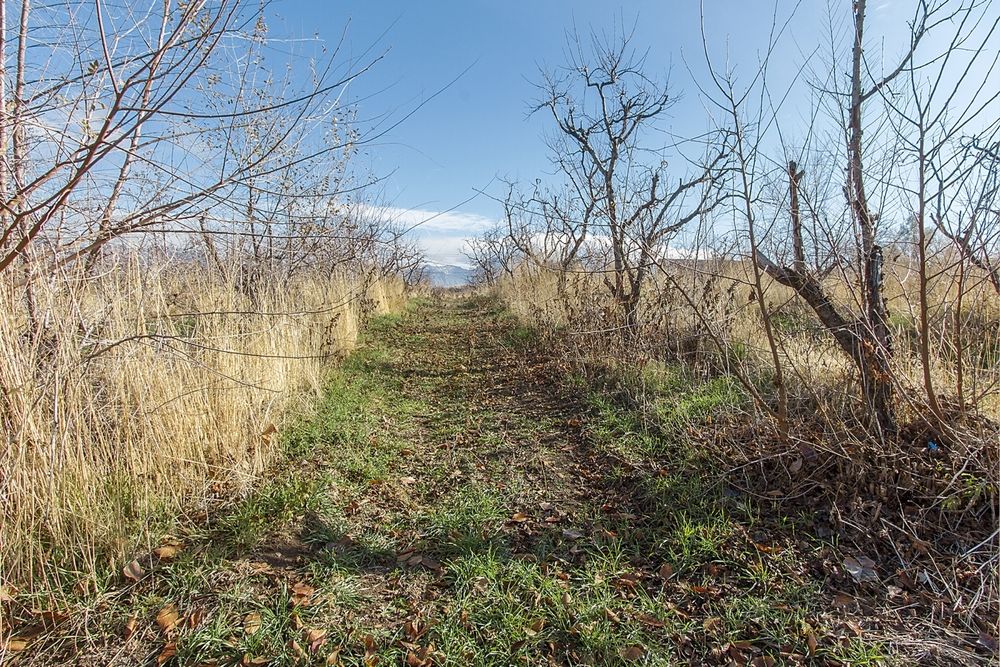 PRICE REDUCED!! Roy Commercial Development Land: 3673 S 1900 W, Roy, UT 84067